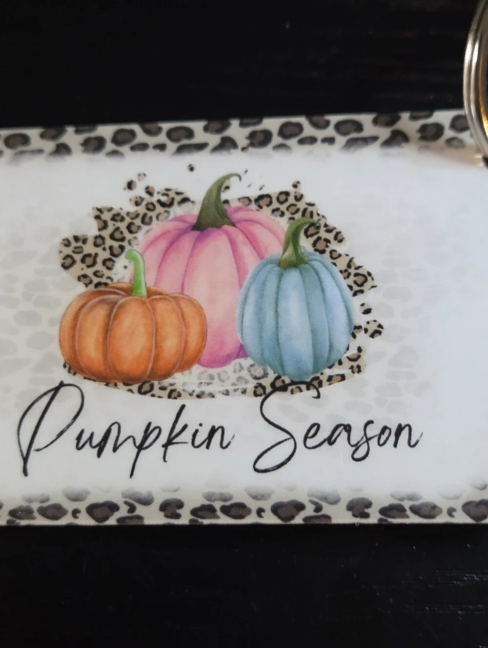 Pumpkin Season Decorative Keycard Keychain - Pink, Blue, Orange
